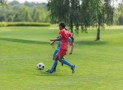 金年会,产品,金年会app,金年会,金年会app,金年会官网入口,金年会官网首页,金年会官网