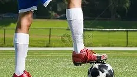 张艺兴分享独特执照：拖拉机与收割机驾照亮相