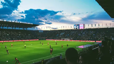 郑钦文作为3号种子亮相WTA500查尔斯顿赛，首轮可能对垒萨卡里