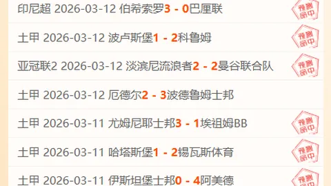 墨西哥甲期号分析：专家揭示关键盲点及6胜4推荐